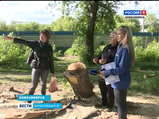 Жители Ленинского района опасаются за свои жизни из-за падающих деревьев