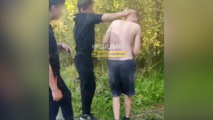В Новосибирске группа подростков жестоко избила беззащитного сверстника