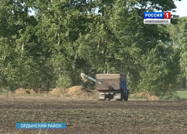  Шесть хозяйств в Новосибирской области не могли приступить к посевной