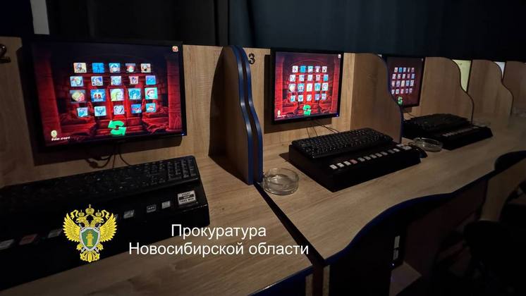 В Новосибирске арестовали двоих организаторов нелегальных казино