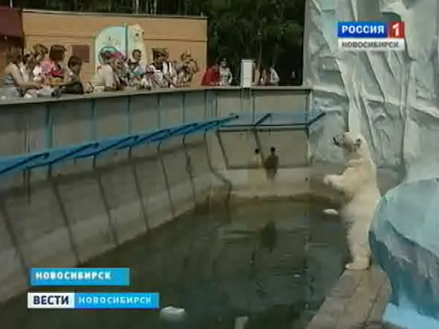 Новосибирский зоопарк прошел во второй тур всероссийского конкурса