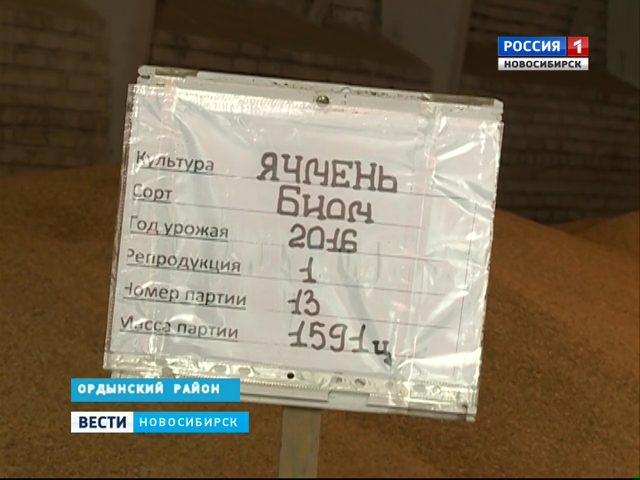 В Новосибирской области аграрии перевыполнили планы по заготовке кормов
