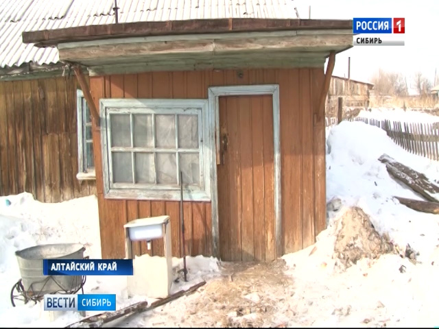 Собака не дала умереть двухлетнему ребенку на морозе в Алтайском крае
