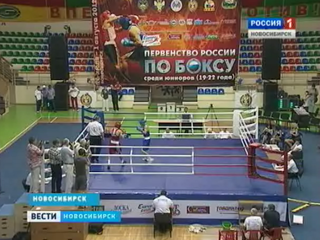 В Новосибирске прошли финальные поединки первенства России по боксу среди юниоров