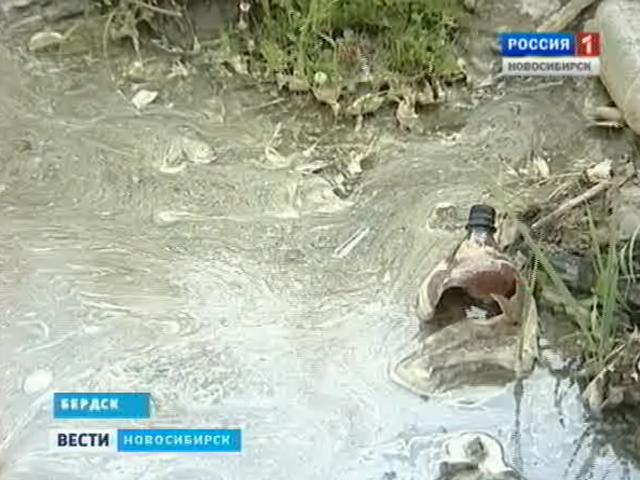 Бердские рыбаки бьют тревогу - массово гибнет рыба