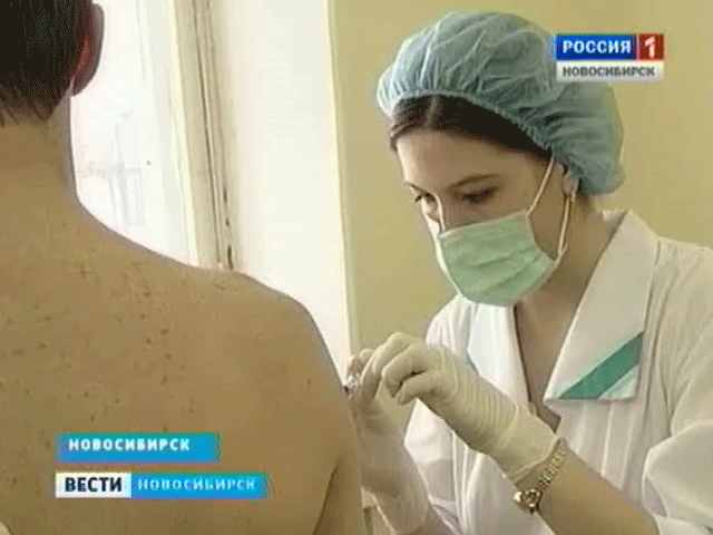 Беззащитны перед насекомым: в Новосибирске дефицит вакцины от клещевого энцефалита