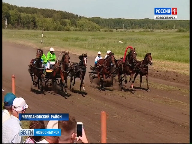 Конные соревнования на Приз губернатора прошли в Черепановском районе   