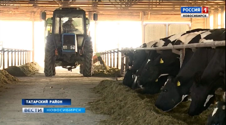 В Татарском районе возрождают одно из самых больших сельхозпредприятий