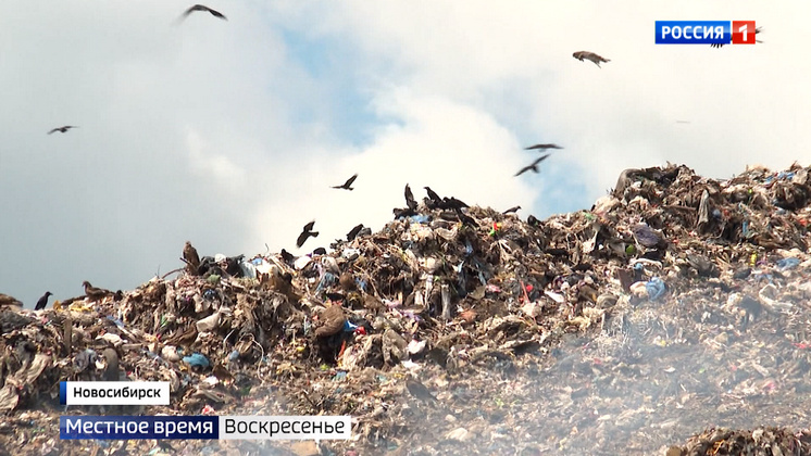 Пожар на мусорном полигоне произошёл в Новосибирске