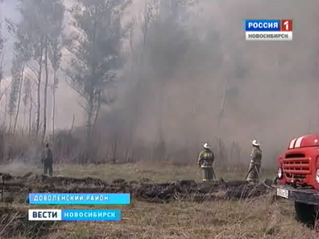 В Новосибирской области на защиту лесов от огня потратят 60 миллионов рублей