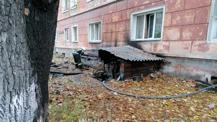 Кота спасли из горящего дома пожарные в Новосибирске