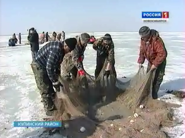 В Новосибирской области завершен сезон промышленного лова рыбы