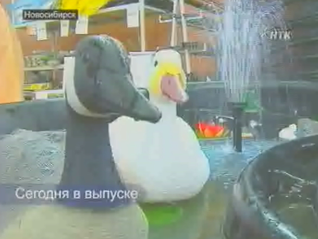 Вести &quot;Дача&quot; за 26.06.2012
