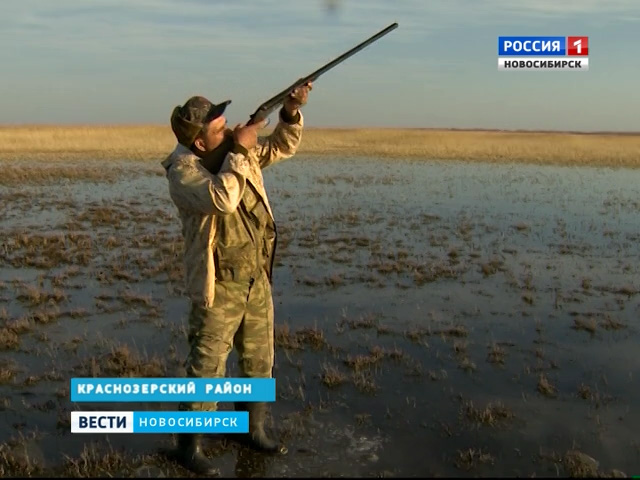 В Новосибирской области завершается весенний сезон охоты