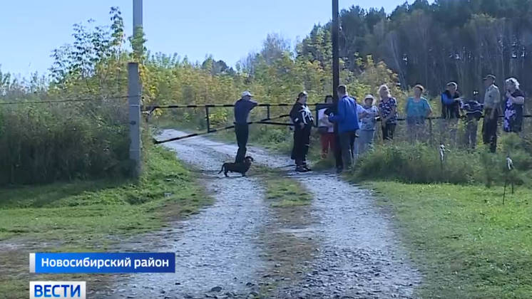 Законность шлагбаума СНТ решили проверить в СКР после сюжета «Вести Новосибирск»