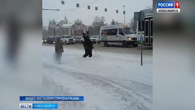 Медведи помогают бороться со снегом в центре Новосибирска