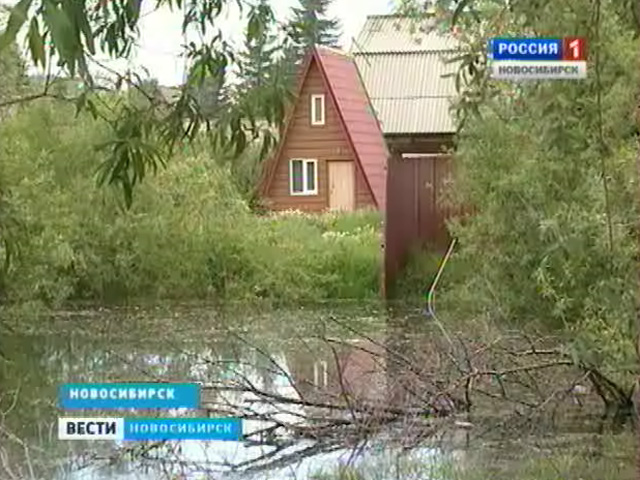 Большая вода пришла в садовые общества Первомайского района Новосибирска