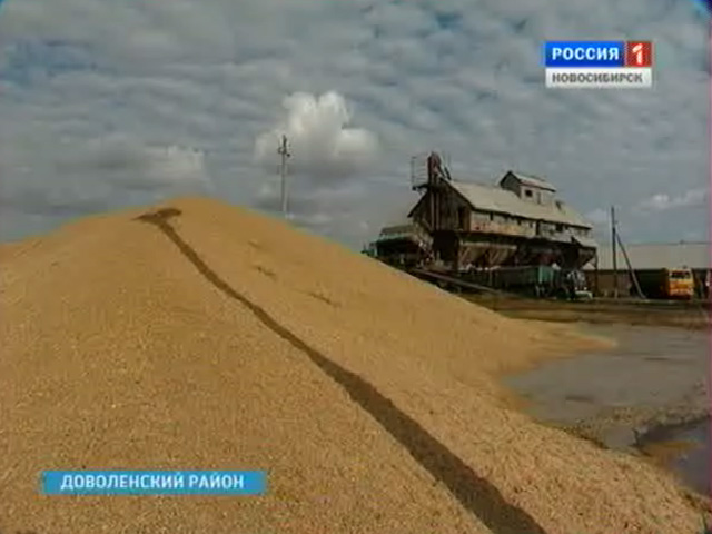 Крестьяне Новосибирской области одержали очередную победу в битве за урожай. Завершилась уборочная 2011