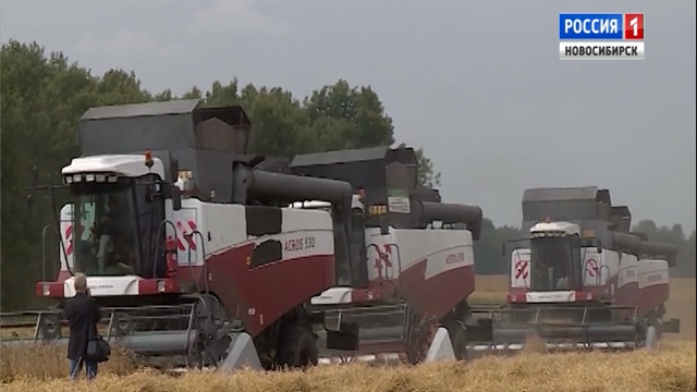Четверть миллиона тонн зерновых собрали в Новосибирской области