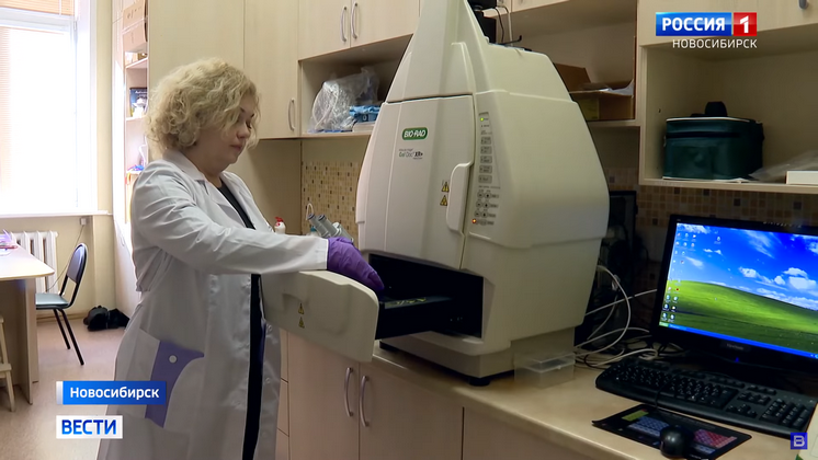 Новосибирские учёные разработали 3D-модель рака молочной железы