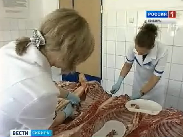 На рынках Алтайского края проверяют на сибирскую язву мясо, попавшее на прилавки