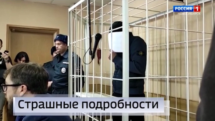 Подозреваемого в убийстве беременной женщины арестовали в новосибирском суде