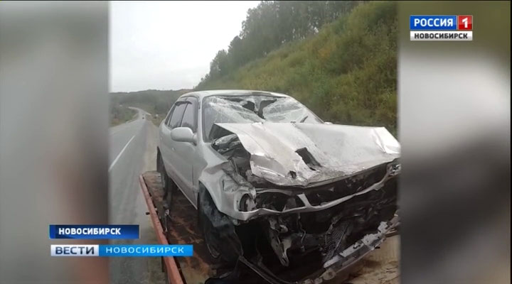 Уехали с места ДТП: в Новосибирске резко выросло количество неочевидных аварий