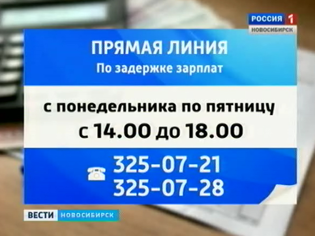 Долги по зарплате в Новосибирской области снизились по сравнению с предыдущим годом