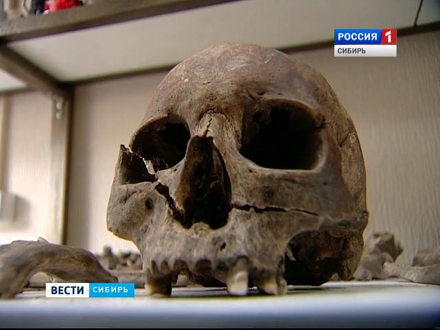 В Иркутске обнаружили останки древнего человека