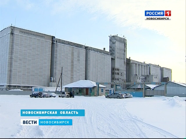 «Вести» узнали, как хранится стратегический запас зерна в Новосибирской области