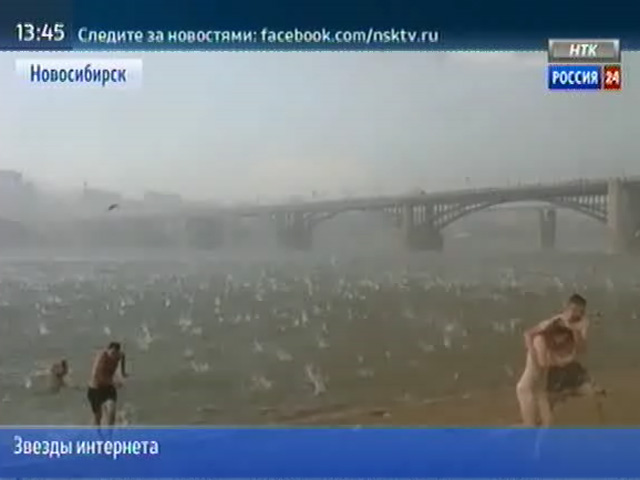 Видео новосибирца про ураган на городском пляже за неделю посмотрело более 9 миллионов человек