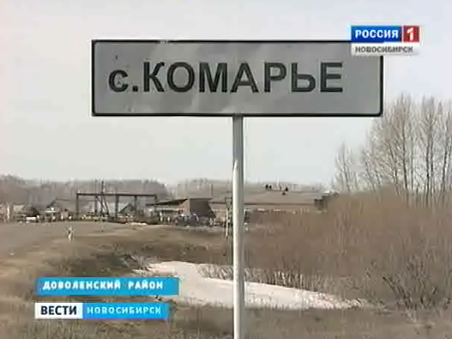 Жителей села Комарье Доволенского района запугивают заражением опасным грибком