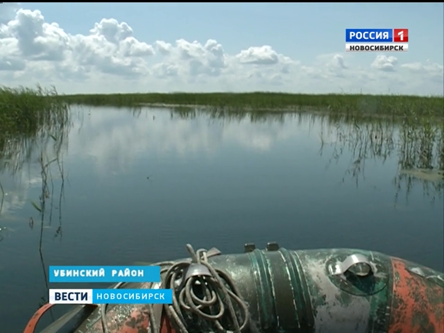 Озеро убинское новосибирская область