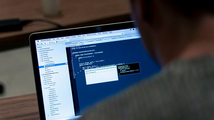 Бердскому хакеру ограничили свободу за разработку вредоносной программы