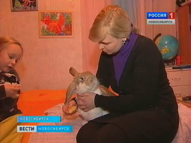 В Новосибирске кроличий бум