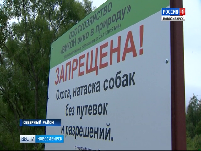 Жители Северного района Новосибирска не могут получить лицензии на охоту