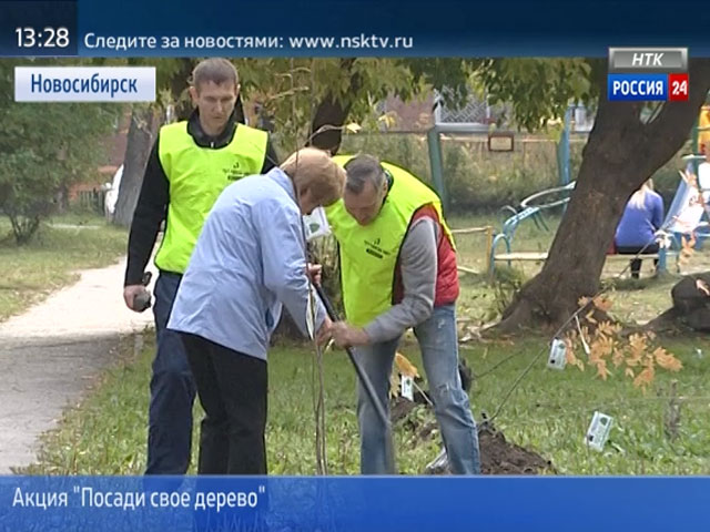 В Новосибирске стартовала акция «Посади свое дерево»