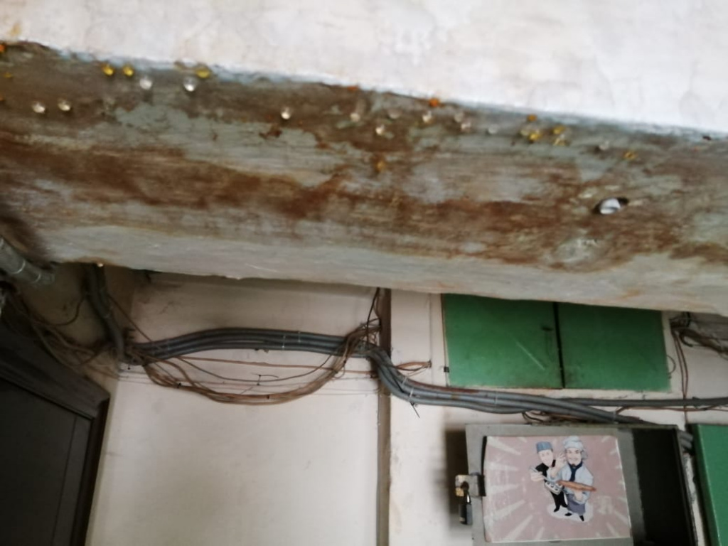 подъезд в плесени