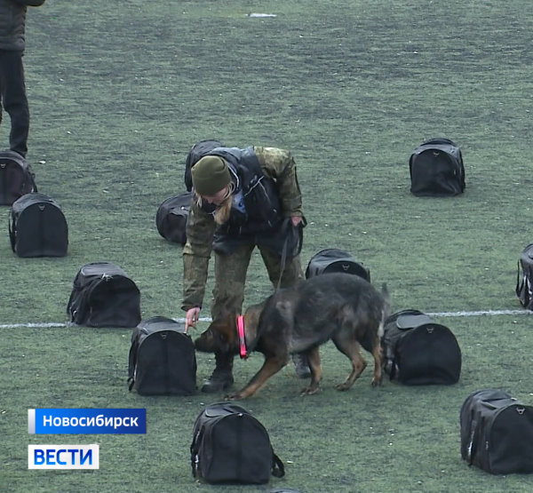 Соревнования