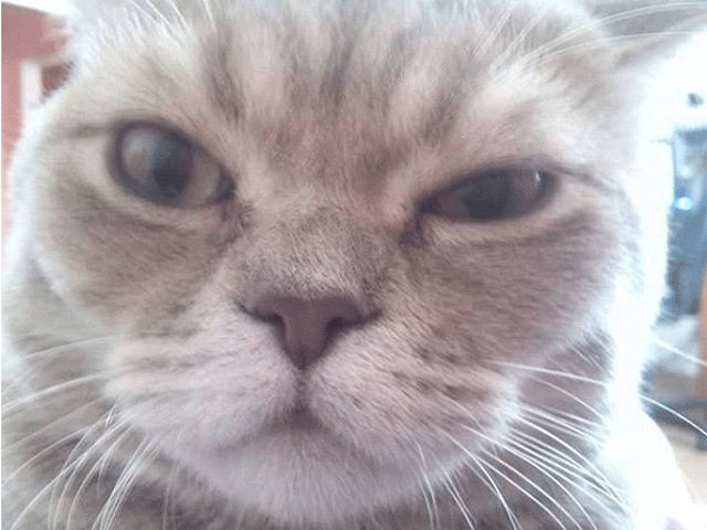 fb2ae3369d8a0191cbbaf51ce13023f4-(1).gif