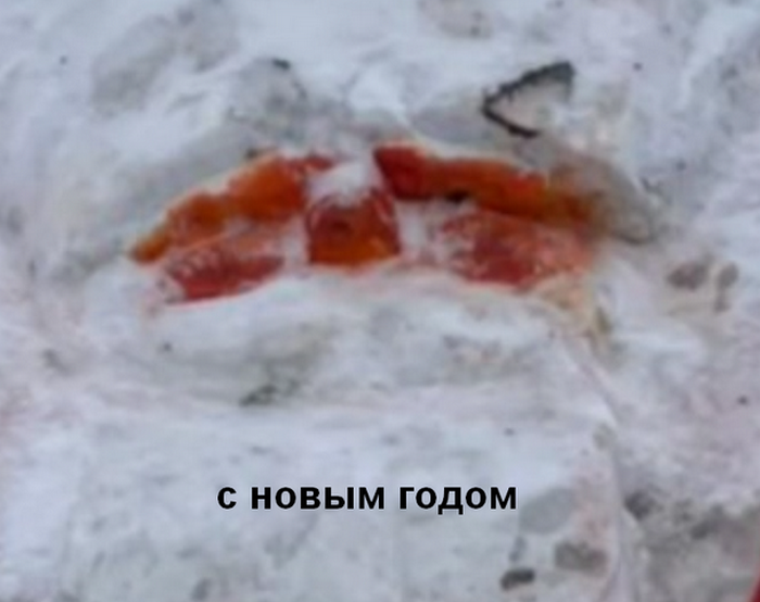 дед мороз.png