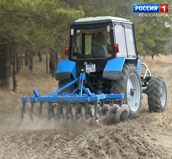 Минерализованные полосы