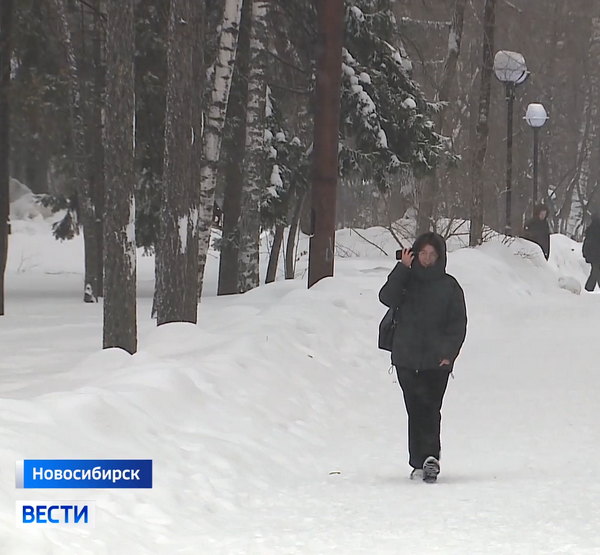 стихи в парках.png