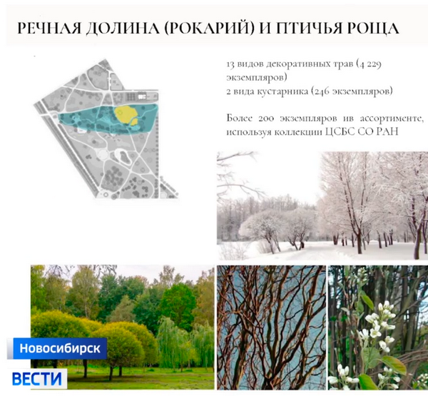 проект сквера