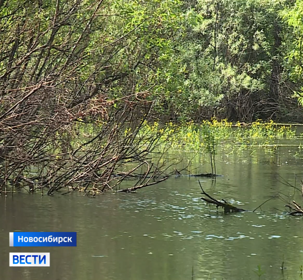 Водоём Водоём