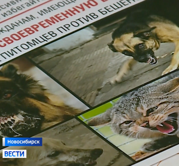 Брошюра Брошюра