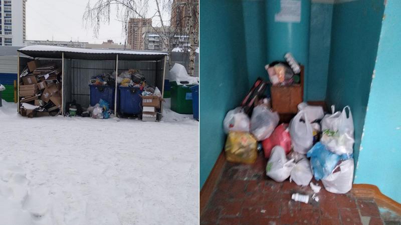 Мусор во дворе и подъезде Мусор во дворе и подъезде
