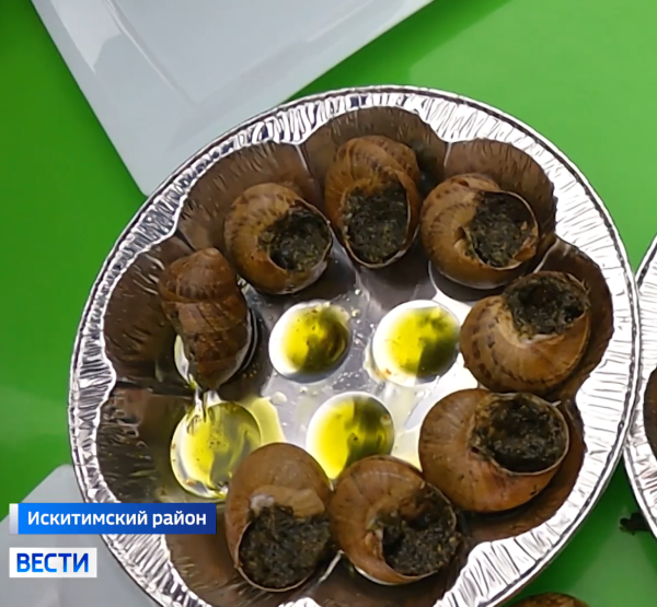 Блюдо из улиток