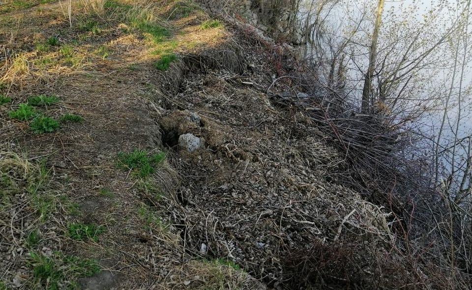 Летом берег укрепляют травой и всем, что под руку попадётся