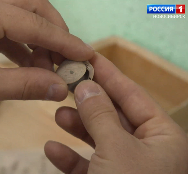 Моллюск Моллюск